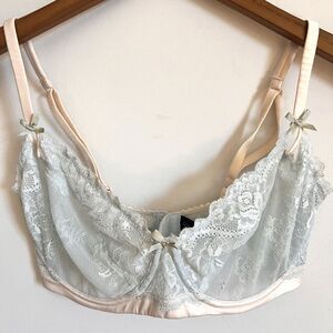 Heidi Klum Bra 36E Zoe Underwire blue with pale pink details bows lace